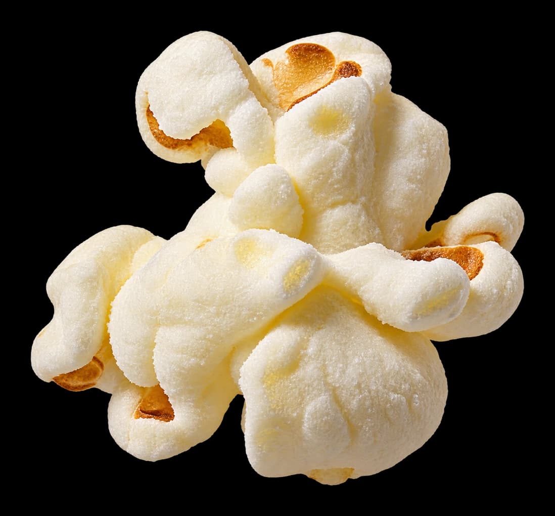 A plain popcorn kernel, pale and essentially bare of seasoning